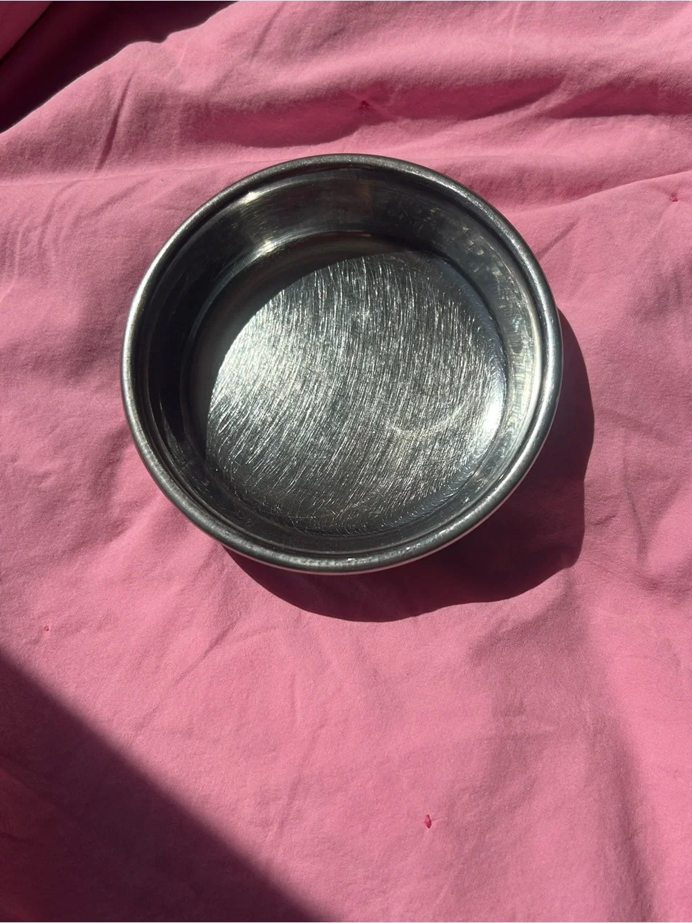 Our Pets as if